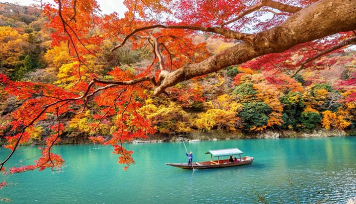 Vẻ đẹp mùa thu của cố đô Kyoto