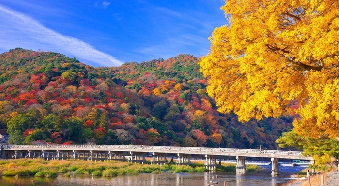 Ghé công viên Arashiyama chiêm ngưỡng vẻ đẹp đầy chất thơ mùa lá phong