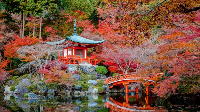 Vẻ đẹp thiên nhiên ở chùa Daigo, Kyoto mùa thu