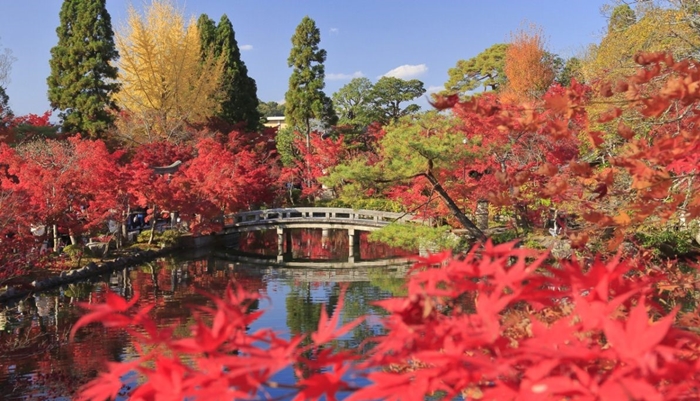 Vẻ đẹp của mùa lá đỏ ở Eikan - do